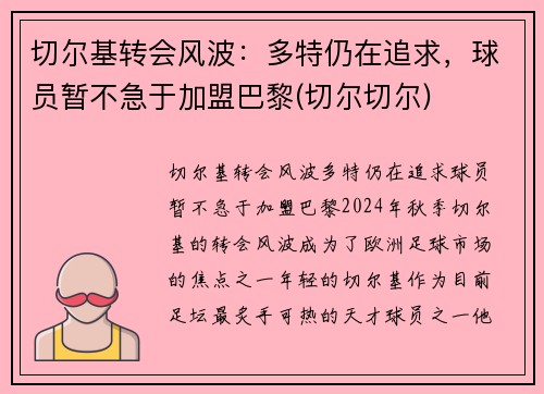 切尔基转会风波：多特仍在追求，球员暂不急于加盟巴黎(切尔切尔)