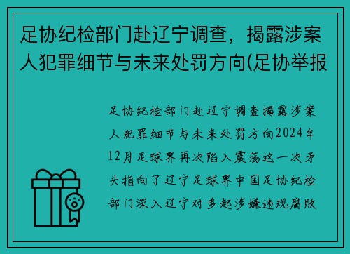 足协纪检部门赴辽宁调查，揭露涉案人犯罪细节与未来处罚方向(足协举报电话)