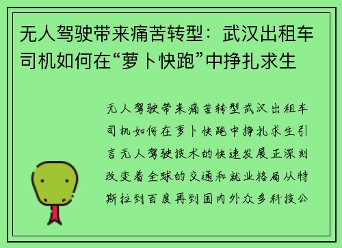 无人驾驶带来痛苦转型：武汉出租车司机如何在“萝卜快跑”中挣扎求生